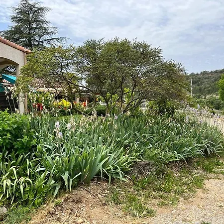 Holiday home Le Romulus Roumoules